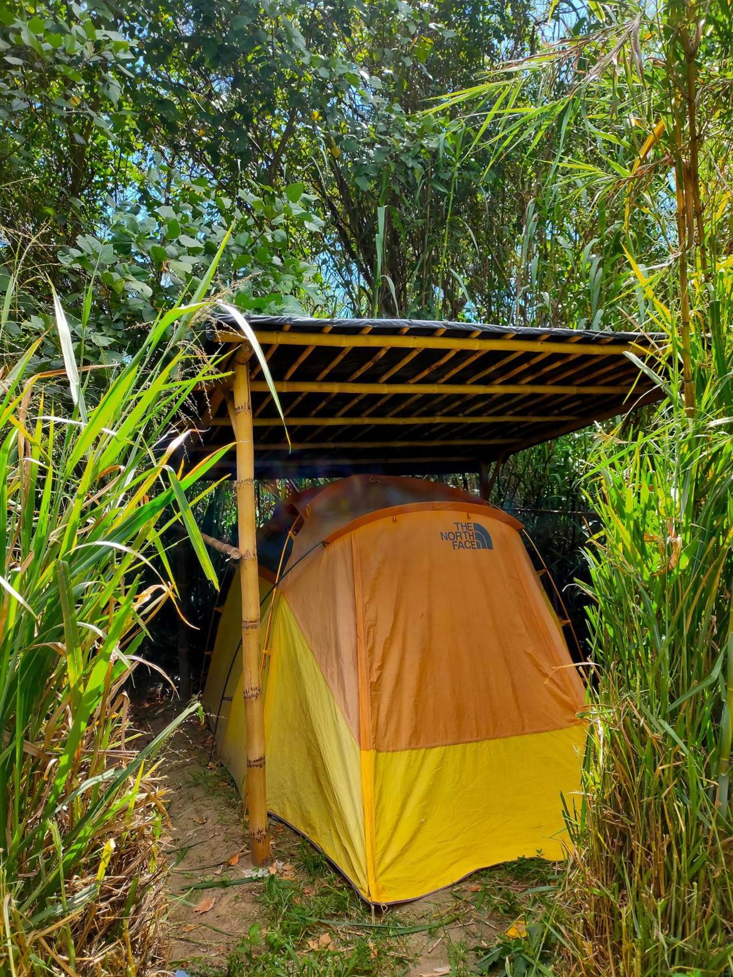 Rumi Wilco Ecolodge & Nature Reserve-Cabanas & Camping LàngLàngVilcabamba Ngoại thất bức ảnh