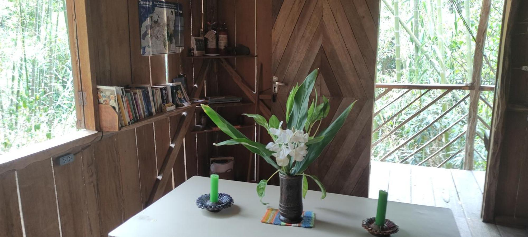 Rumi Wilco Ecolodge & Nature Reserve-Cabanas & Camping LàngLàngVilcabamba Ngoại thất bức ảnh