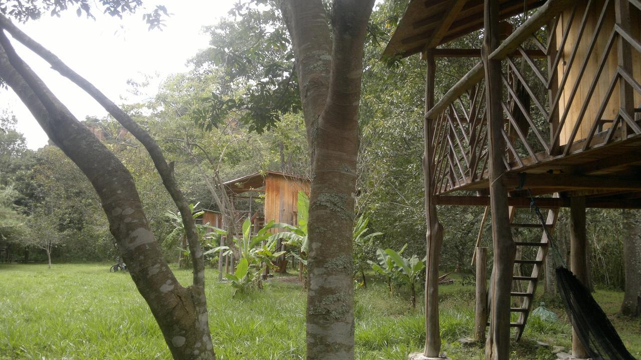 Rumi Wilco Ecolodge & Nature Reserve-Cabanas & Camping LàngLàngVilcabamba Ngoại thất bức ảnh