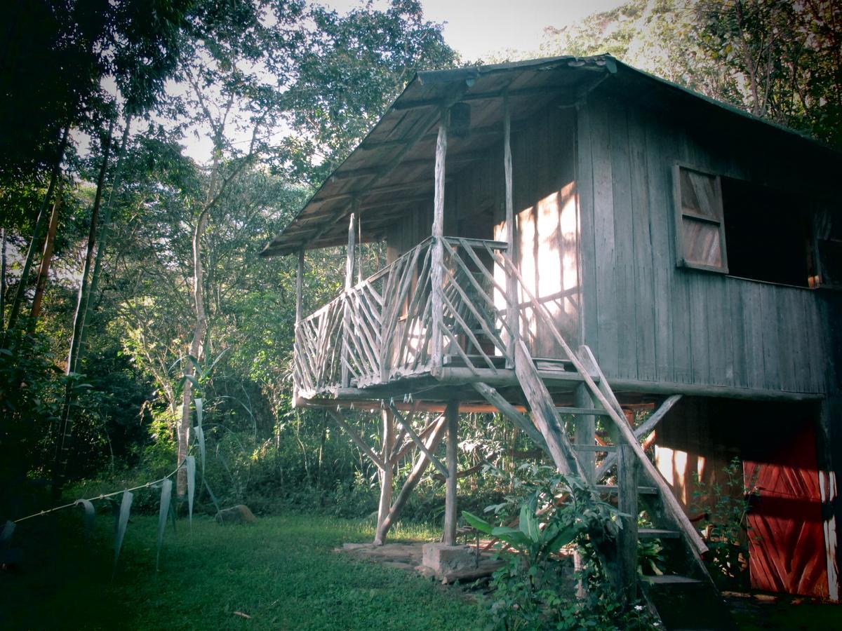 Rumi Wilco Ecolodge & Nature Reserve-Cabanas & Camping LàngLàngVilcabamba Ngoại thất bức ảnh