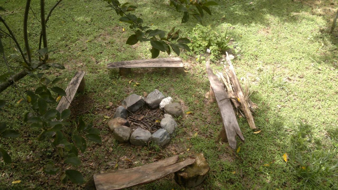 Rumi Wilco Ecolodge & Nature Reserve-Cabanas & Camping LàngLàngVilcabamba Ngoại thất bức ảnh